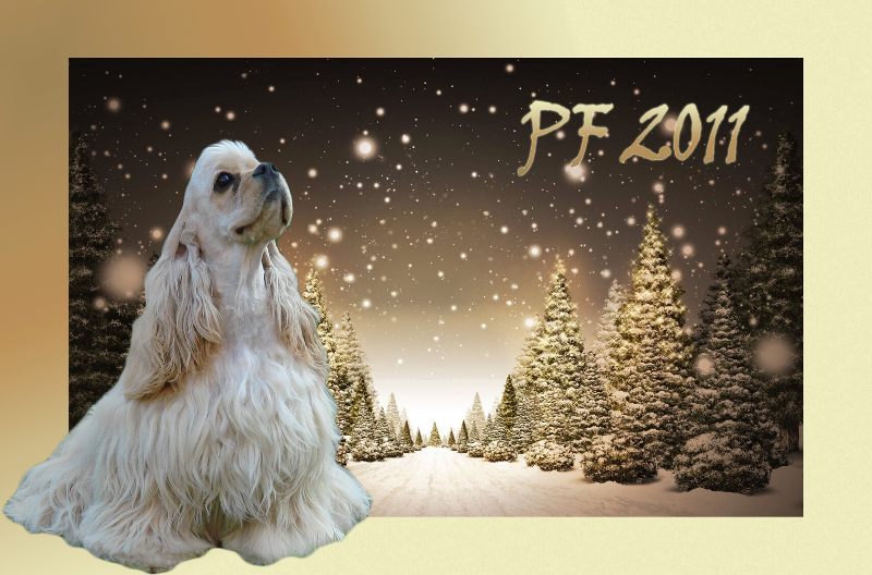 PF PF