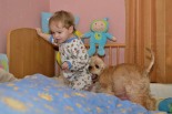 klikněte zde pro zvětšení fotografie Cooper Gold a Fandík