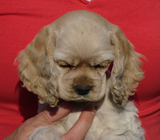 Penny Ann