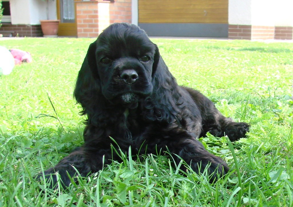 Beky Black
